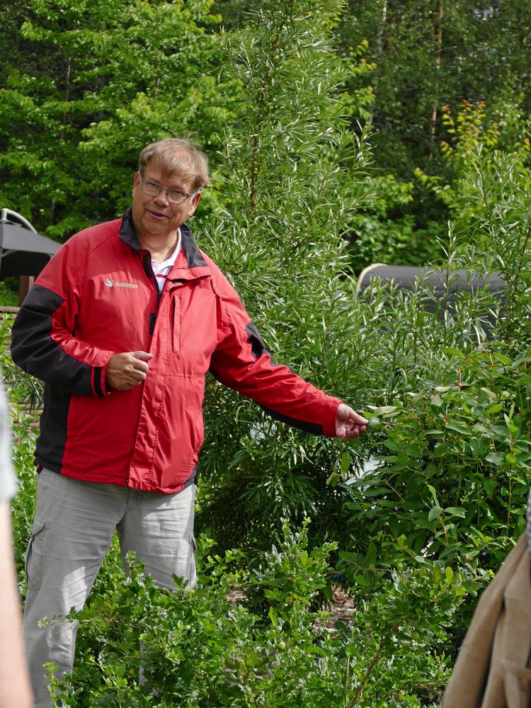 Leif Blomqvist, författare och expert på bärväxter.
