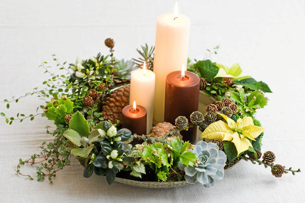 Mitt i härligheten "blommar" fetbladingen Echeveria.