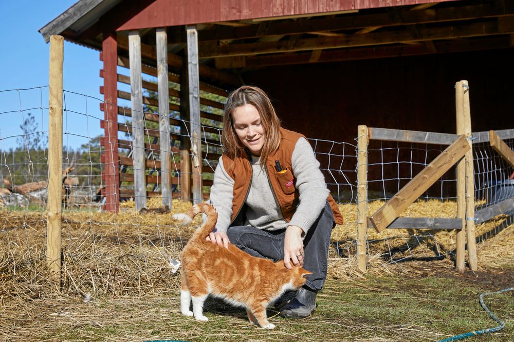 Förut var Brita lite katträdd men det ändrades helt när de skaffade sin keliga honkatt som också håller råttorna borta.