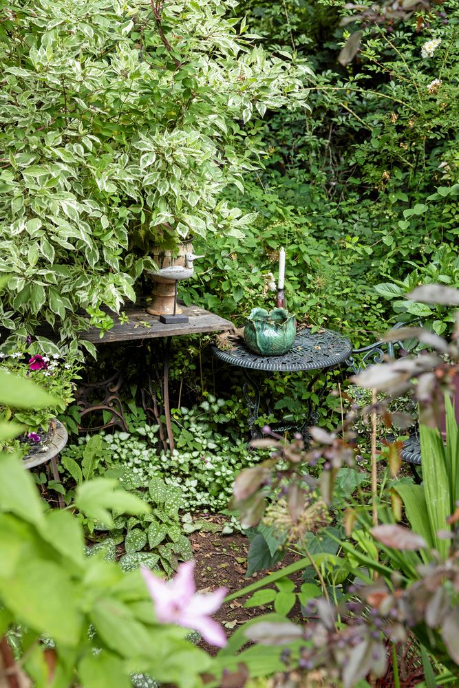 Thomas hållbara stengodskeramik tål att stå ute i trädgården. Här med lungört, rosenplister och andra växter med flerfärgade blad som glimmar i skuggan.