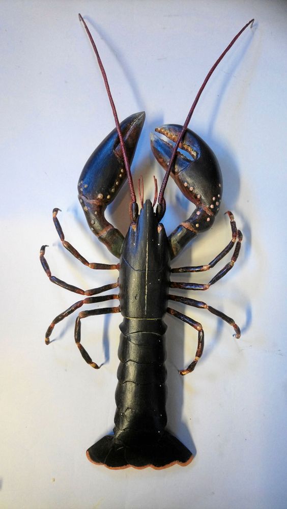 En hummer i trä med borstiga spröt.