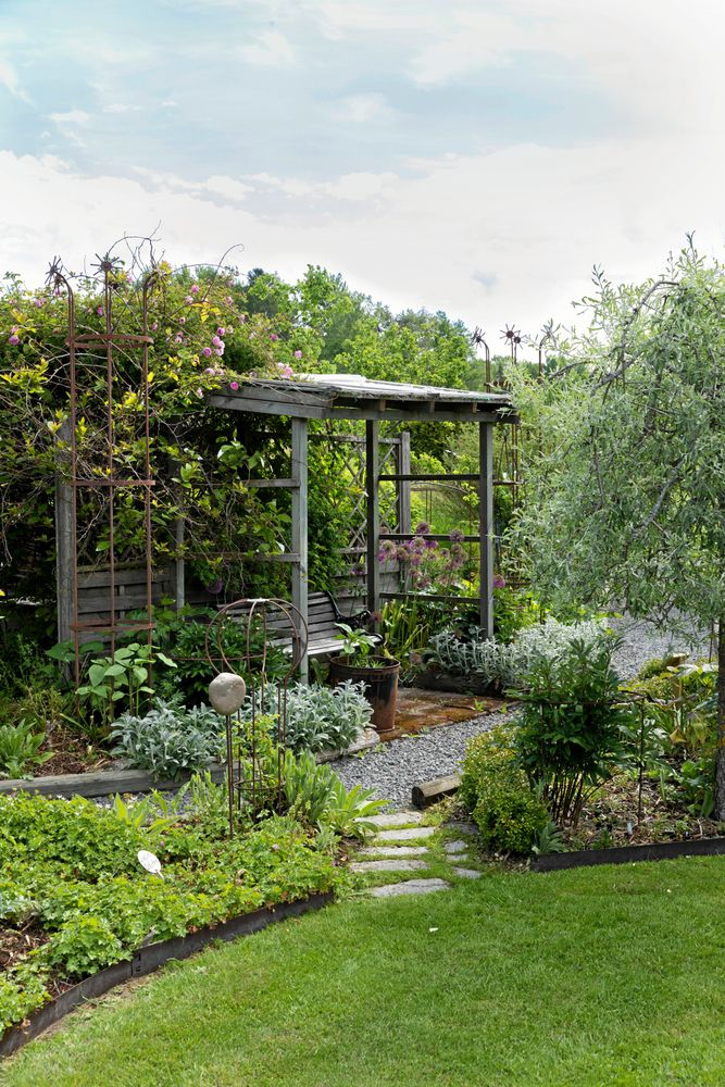 Pergolorna har blivit lite av trädgårdens signum. De erbjuder sköna sittplatser och promenadvägar i skuggan samtidigt som busk- och klängrosorna får stabilt stöd.