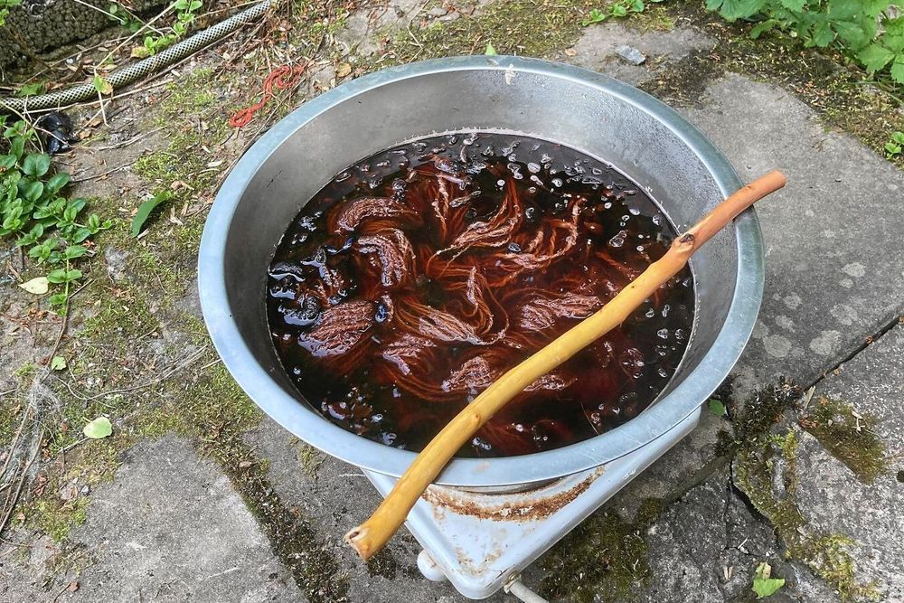 Färgar med blodspindling utomhus. Koket luktar inte violer.