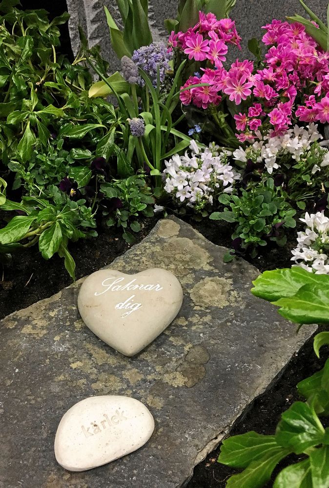 Skellefteå pastorat byggde med uppstammad krypen, bolltuja och skuggröna. Dessutom vackra, mjuka stenar.