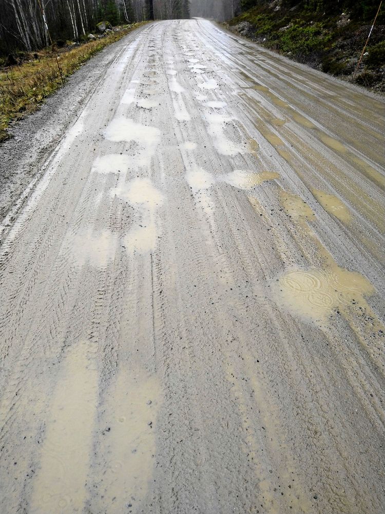 Väg 1039 till Hädanberg i Örnsköldsviks kommun.