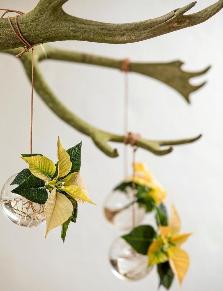 Gult med grönt kring bladnerverba. 'Natural Feeling' påminner om hasselns blad om hösten.