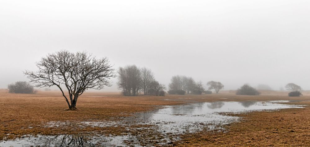 Vattensjuka marker kan bli följden av allt regnande i vinter i södra Sverige. Men också välkommen påfyllning av grundvatten.