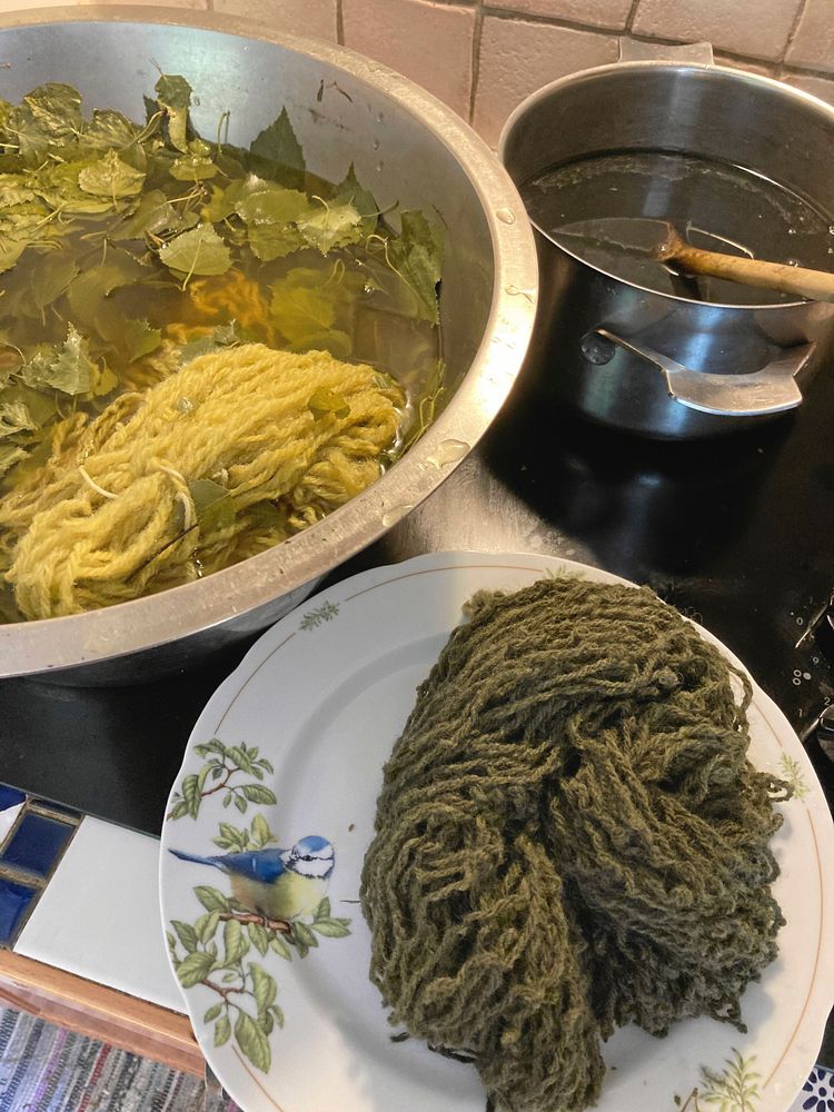 En bytta björklöv och en med rostvatten ger gult och grönt.