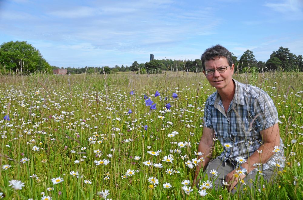 TRIVS I ÄNGEN. Biologen Inger Runeson driver företaget Pratensis som specialiserat sig på fröer och plantor av vilda svenska växter.