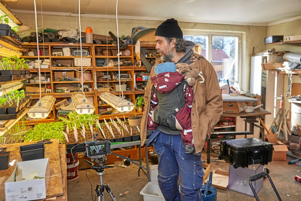 Grönsaker på gång, 400 plantor har Kalle drivit upp inför sommaren.