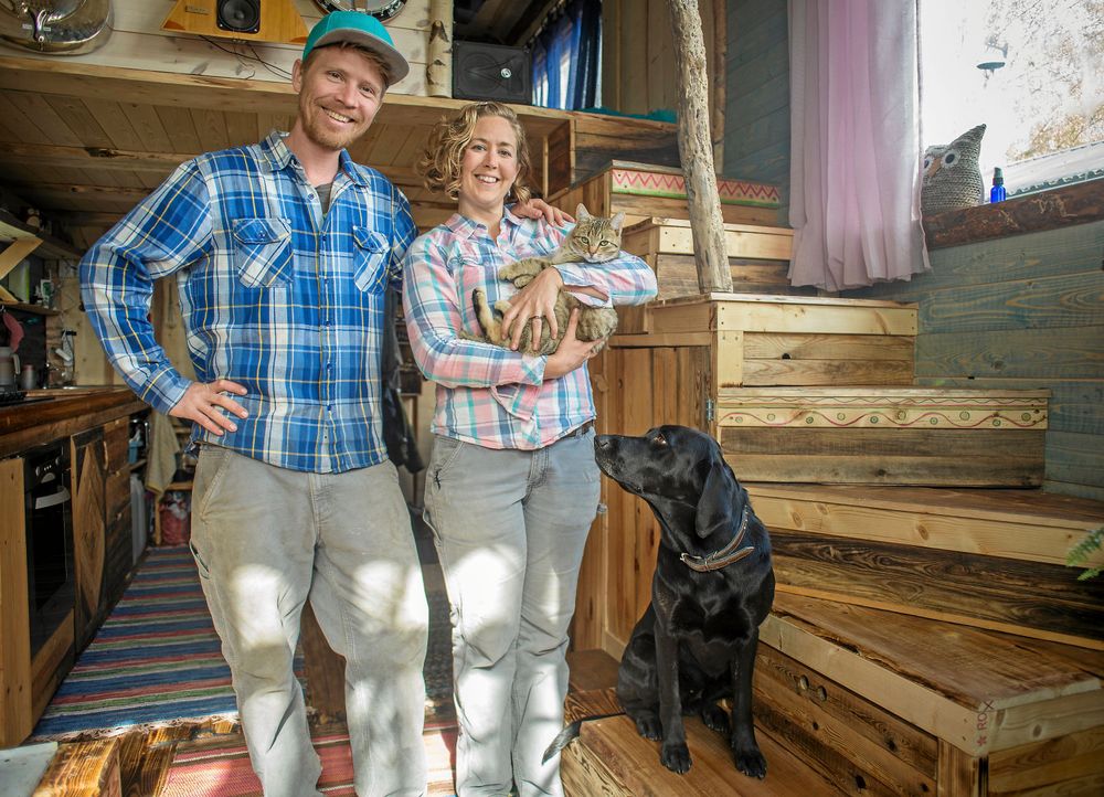 HUSDJUR. Familjen består av Eliza, David, katten Toby och hunden Tiggy, och så hönsen utanför huset såklart.