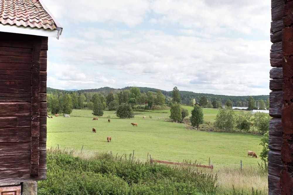 Två lador med plats för djur.