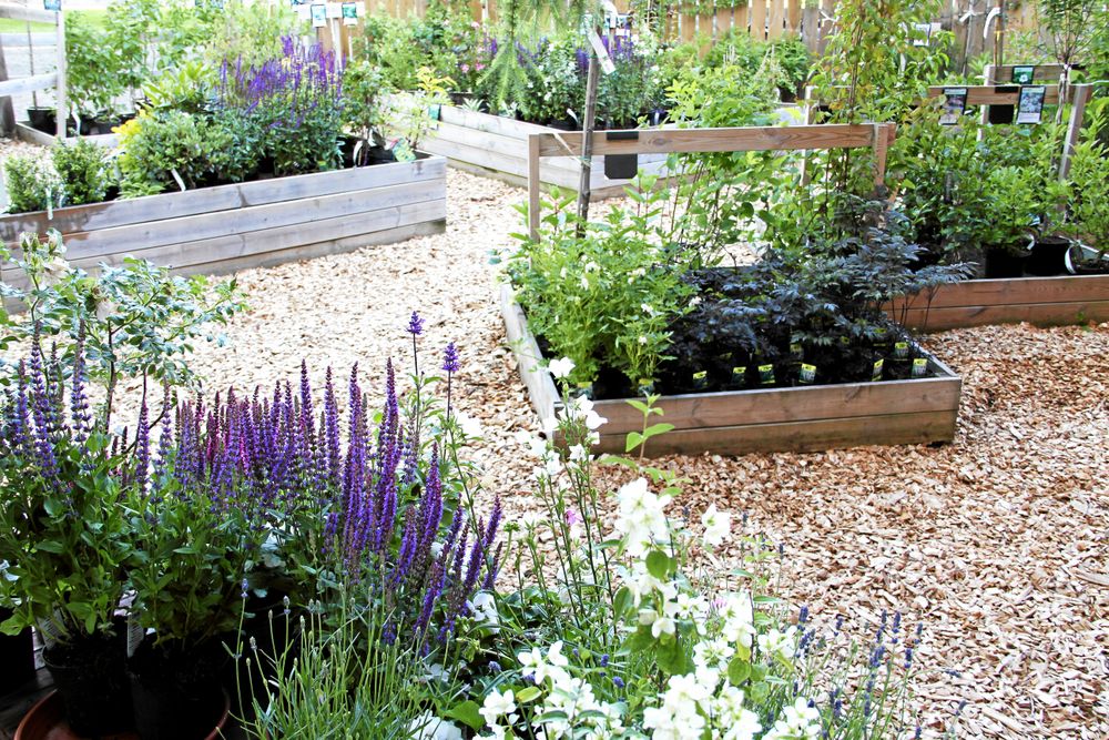 Kvarnkulla handelsträdgård lockar både närboende och lågväg turister med sitt stora utbud.