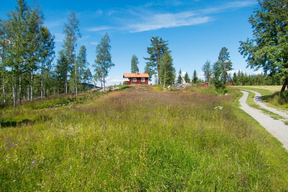 Nu börjar det likna Trons vision. Bilden tagen från samma kameravinkel 15 år senare.