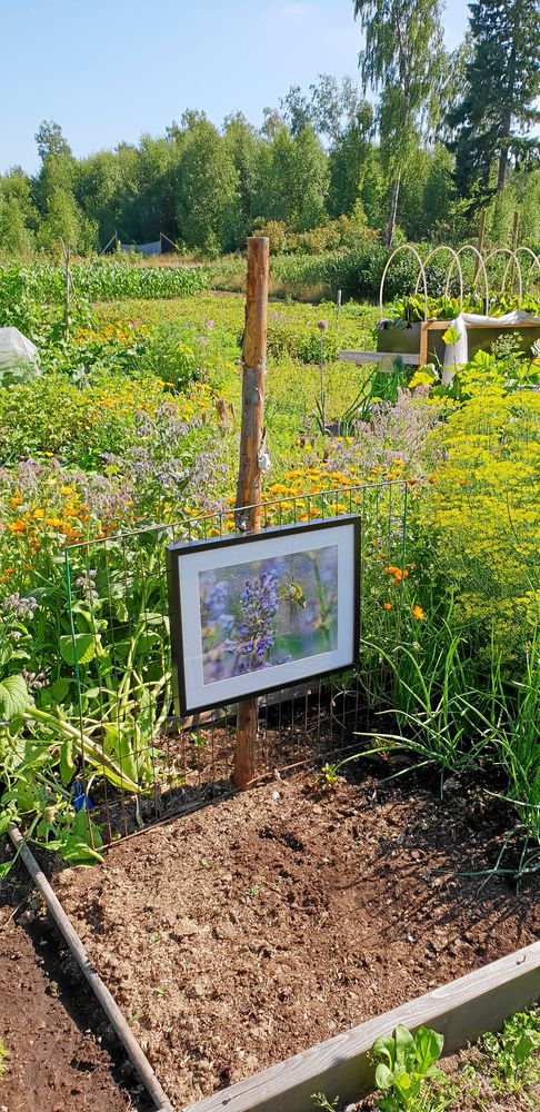 Hos OdlarSture i Romelanda bjöds det på både odlingsinspiration och fotografikonst.