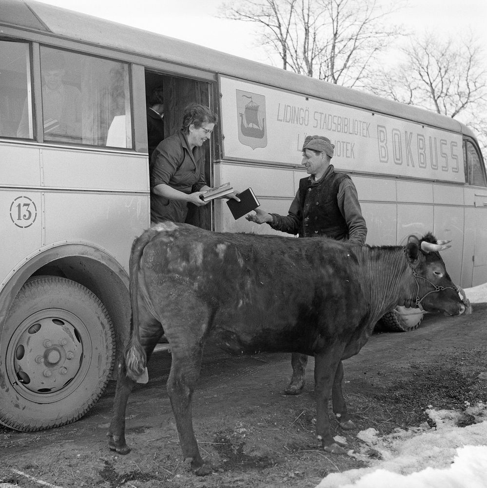 Bokbussen kommer till landsbygden utanför Stockholm, en boksugen lånare har kon med sig. (1950-tal)