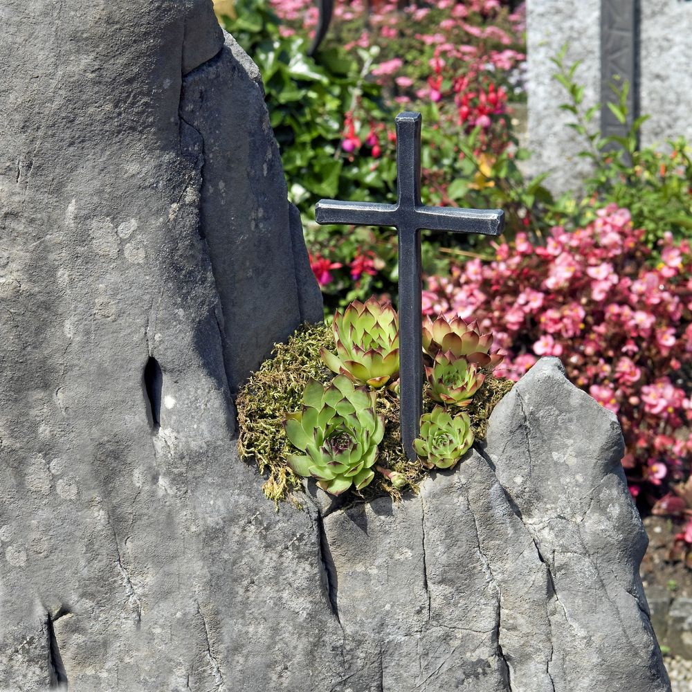 Miniplantering med taklök.