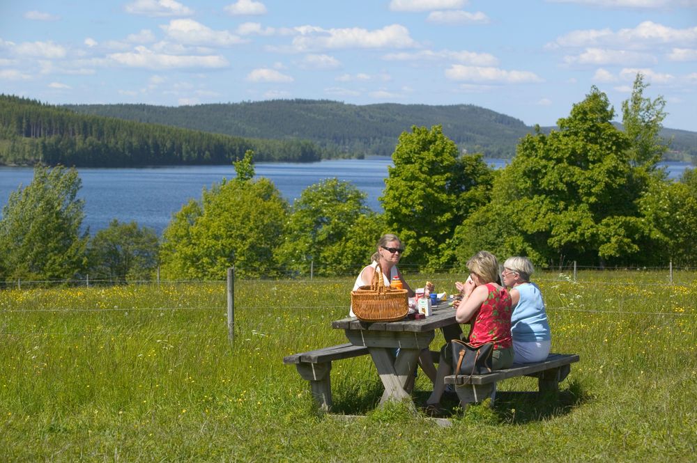 Se till att det finns både tid och möjlighet att spontanstanna på nån trevlig rastplats.