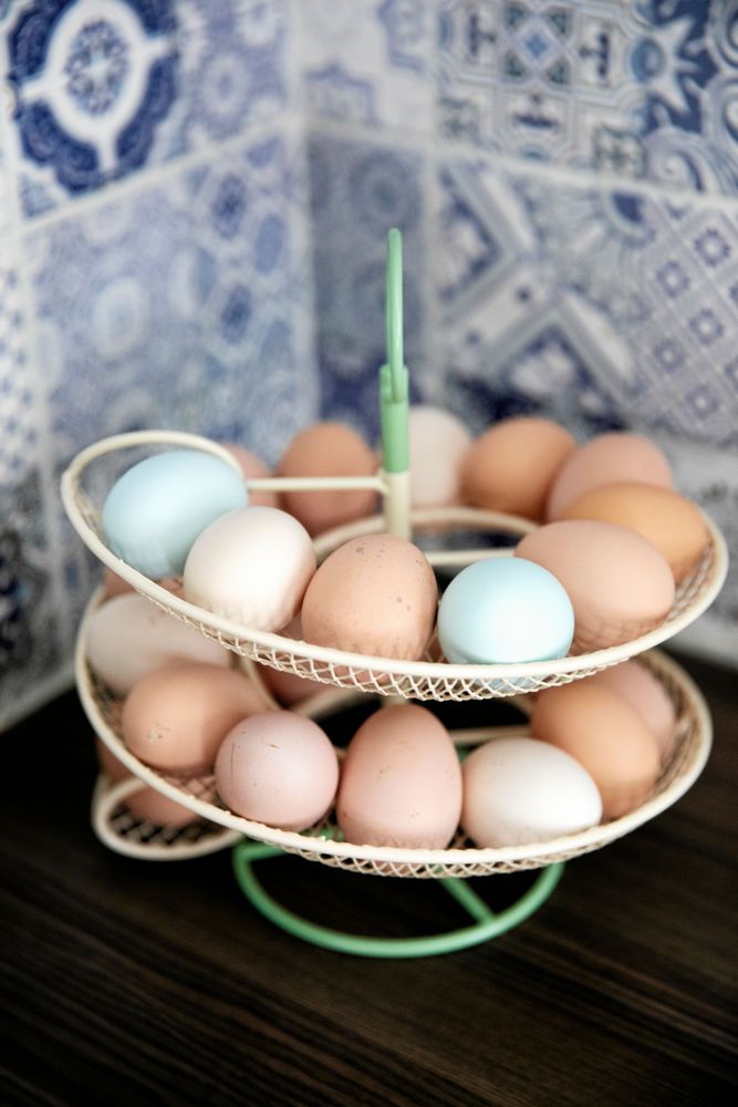 Från hönsgården kan familjen plocka upp mot 10 ägg per dag sommartid.