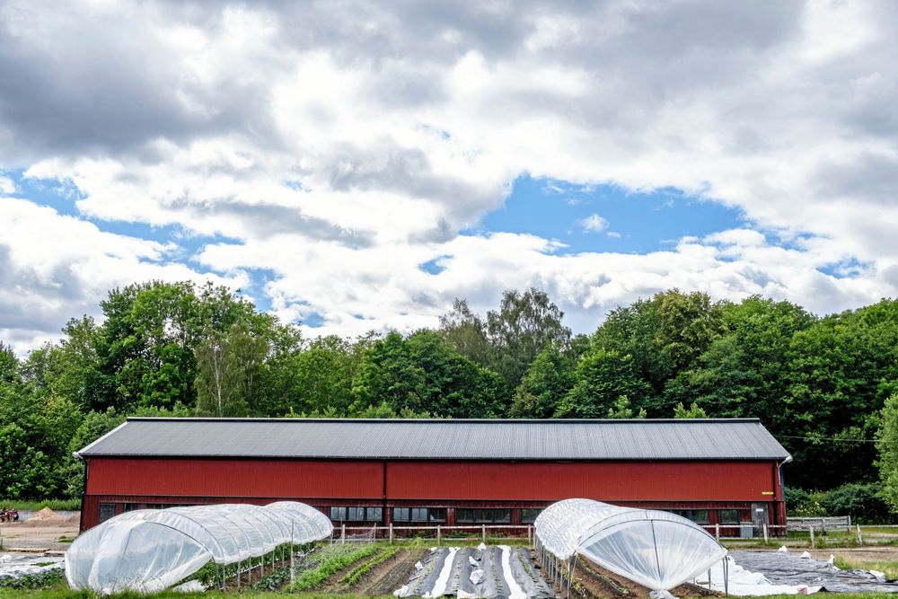 Angereds Gård står på kommunal mark i Gunnilse.