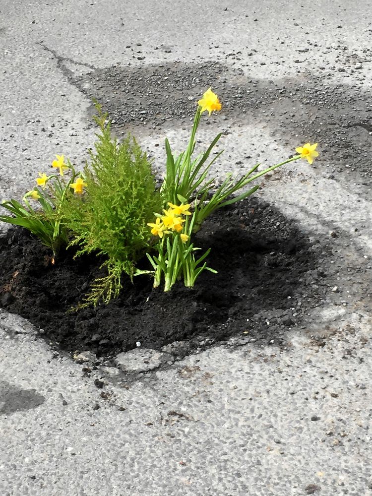 Protestlök i vägen på påskafton i år. Någon i byn Loose i brittiska Kent har fått nog.