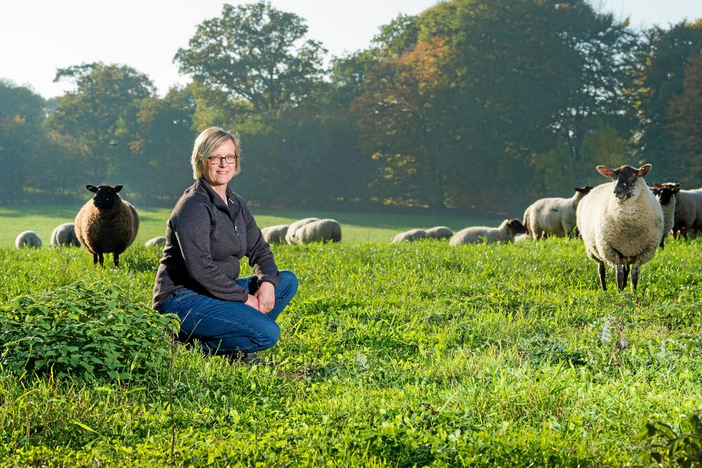 En tur till fårhagen är rogivande, tycker även Maria själv.