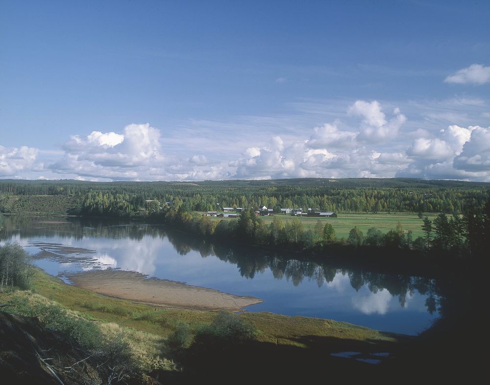 Ekshärad i Värmland. Foto: IBL