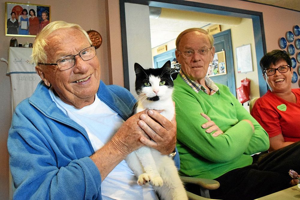 Redan under frukosten kom en av katterna och hälsade på Sven Hultström, Lennart Nilsson och Camilla Johnsson.