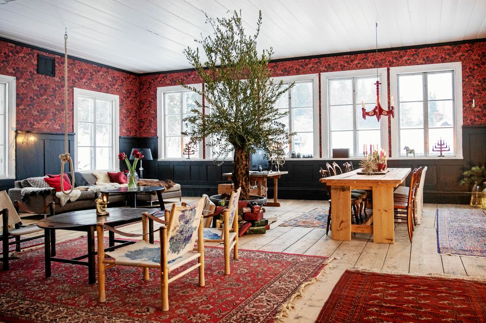 Den gamla skolsalen är i dag ett gigantiskt vardagsrum på 90 kvadrat, med det 3,4 meter höga olivträdet i mitten.