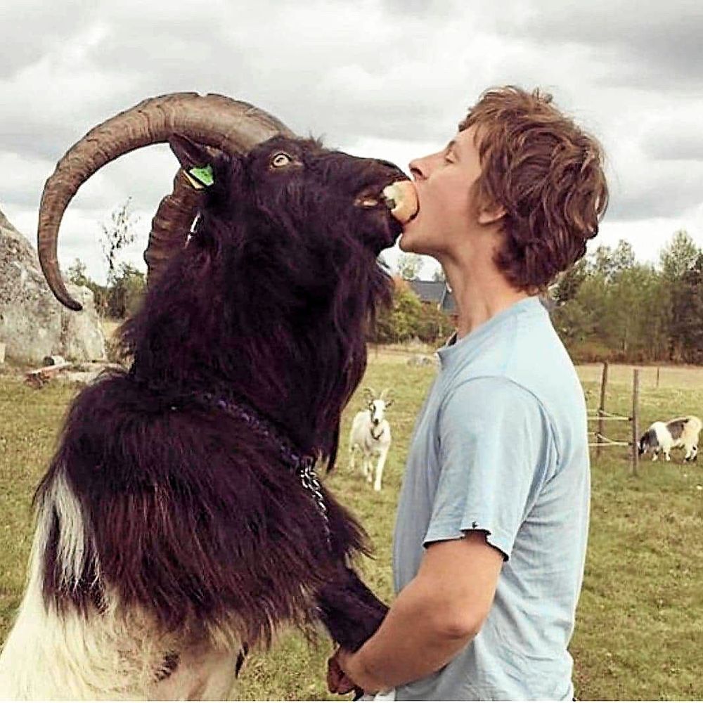 Oscar och hans första bagge, Corre, delar ett äpple.