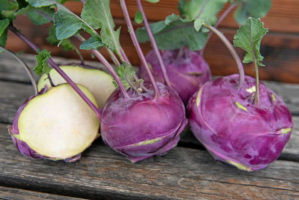 Snyggaste kålrabbin heter 'Azur Star'.