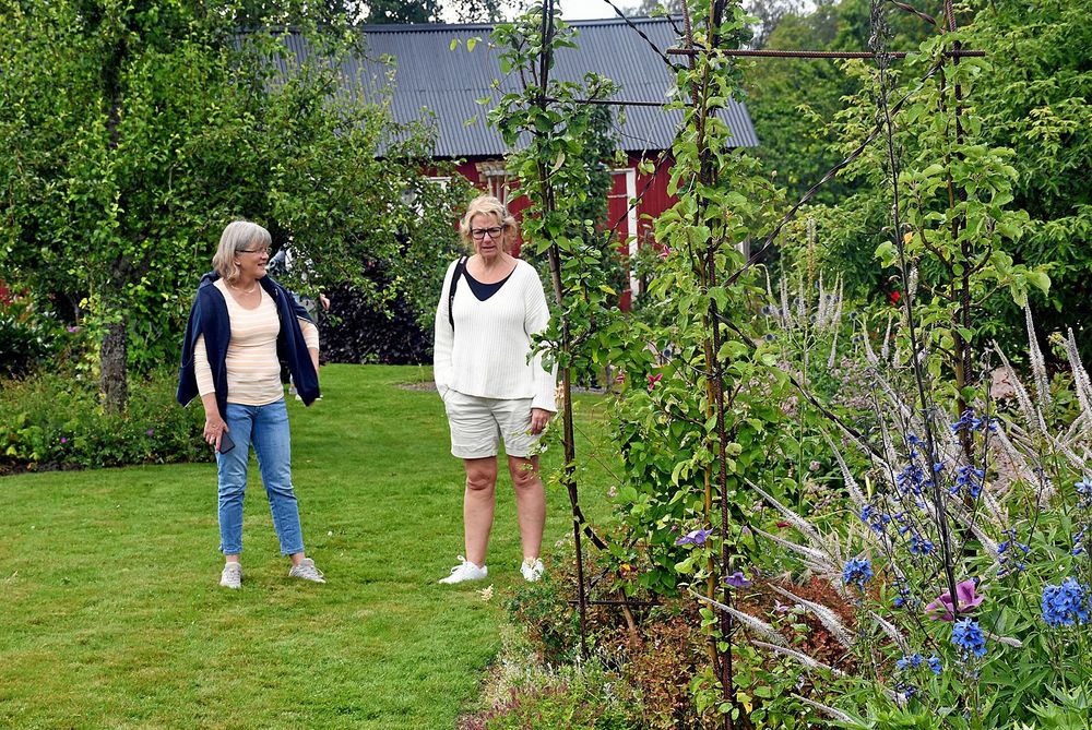 Marita Åhrby, 54 år, och Anne-Lie Sjögren, 53 år, har åkt från Vårgårda för att besöka Katarina Olssons trädgård utanför Sollebrunn.