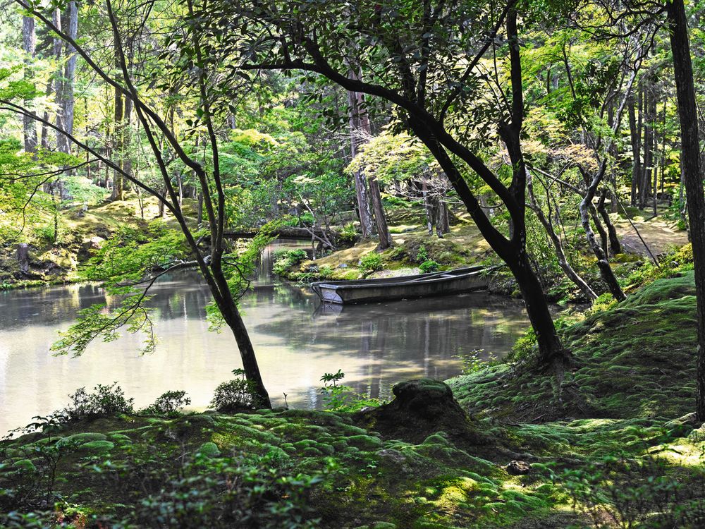 Den japanska mossträdgården Saiho-ji utanför Kyoto har en damm med tre mossklädda öar. De kallas de "odödligas öar".