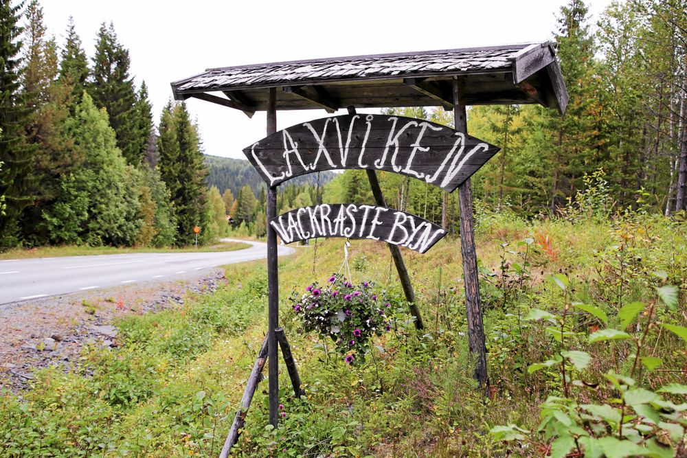 I framtiden hoppas de kunna öppna en gårdsbutik och gårdskrog.