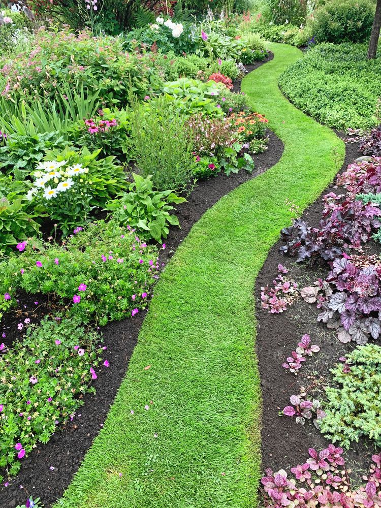Det friskt gröna gräset ringlar fram mellan rabatter i rosa toner. Här växer bland annat nävor, alunrot, astilbe och pioner.