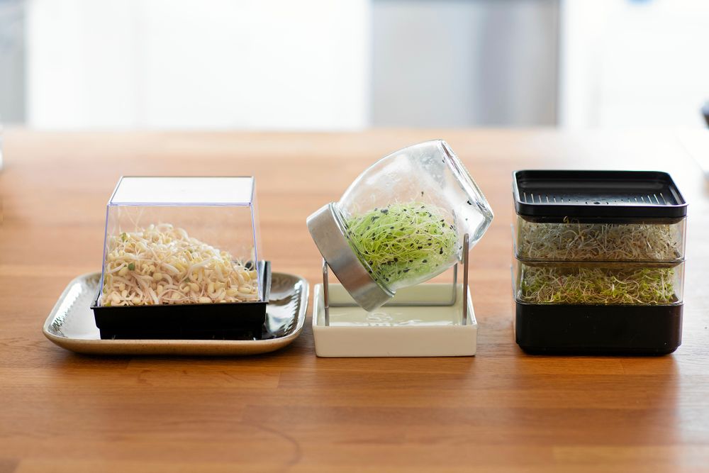 Groddbox för de groddar man vill ha mycket av. Mungbönor och linser. Glasburk för de mindre groddarna som tex lök- och rädisgroddar. Stapelbar burk så att man kan odlar flera sorter samtidigt.