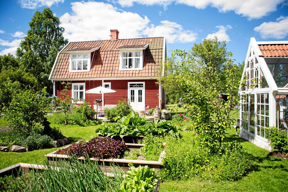 Elisabetts och Mats sommarparadis i Västbjörka i Dalarna - där de lever lantligt under sommarhalvåret med odling och höns.