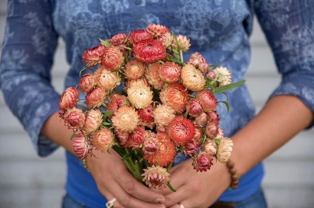 Eterneller är tillbaka i modet.