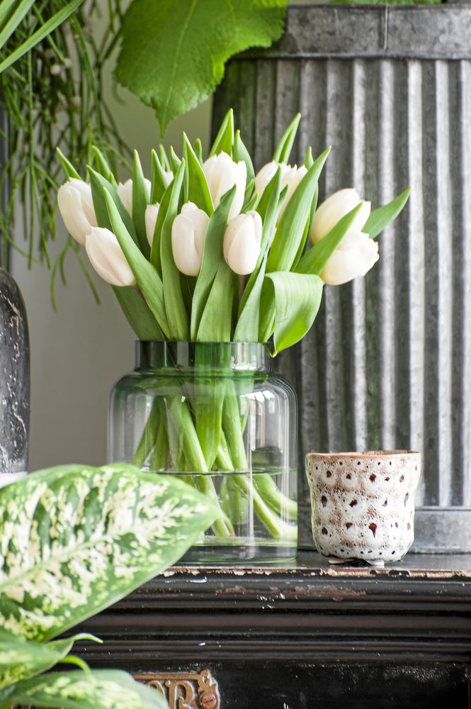 Vitt och grönt tillsammans med gröna växter.