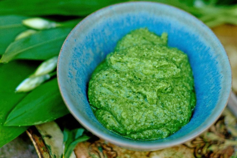 Vårens läckraste vilda ört – ramslök i en god pesto.