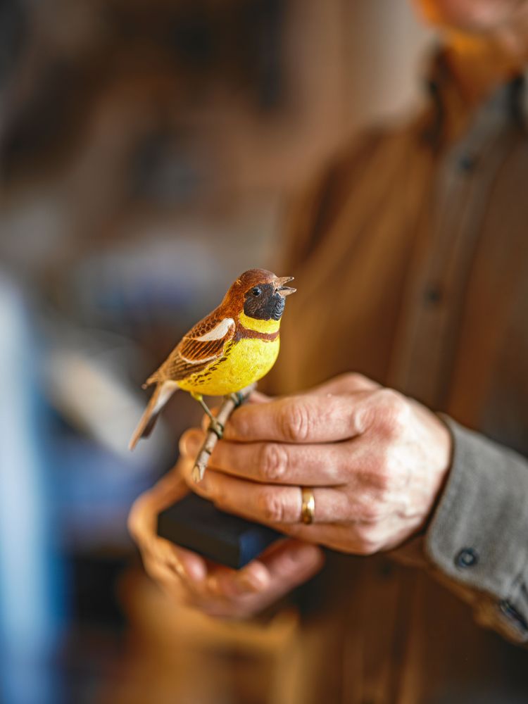 Gyllensparven, ett av hans första sniderier, ser nästan levande ut.