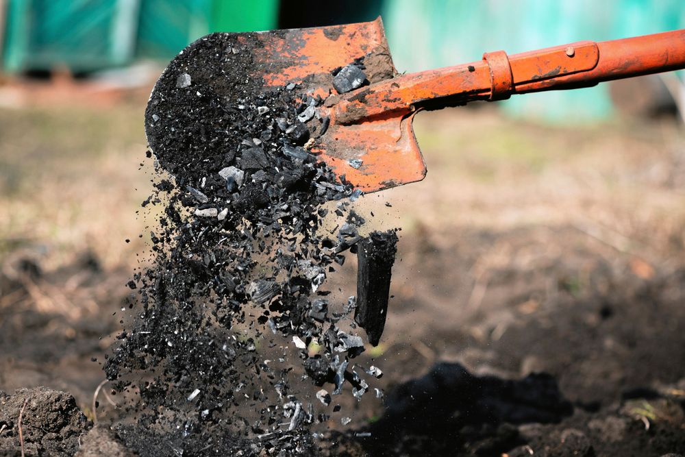 Biokol ger en luftig jord och näring till växterna.