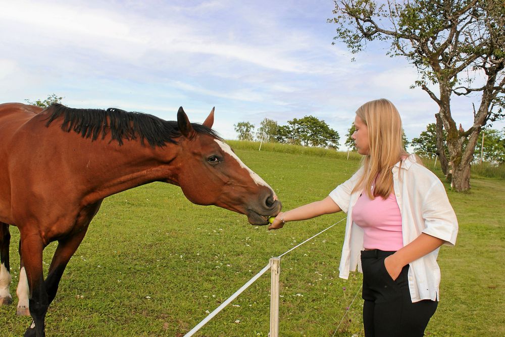 Dottern Ellen matar hästarna i hagen nära huset. Att kunna ha hästar lockade henne att flytta till landet.