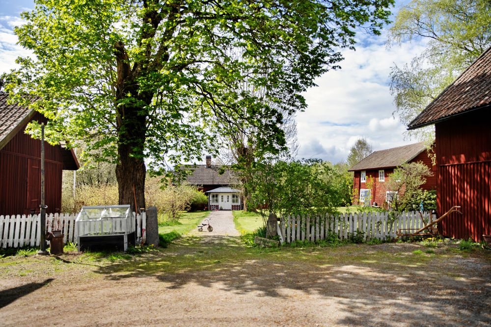 Lite undanskymt och avgränsat med ett staket ligger familjens ombyggda torp.