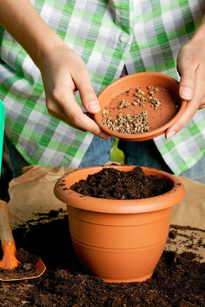 Plantjord först, såjord i översta lagret. Sedan sår man.