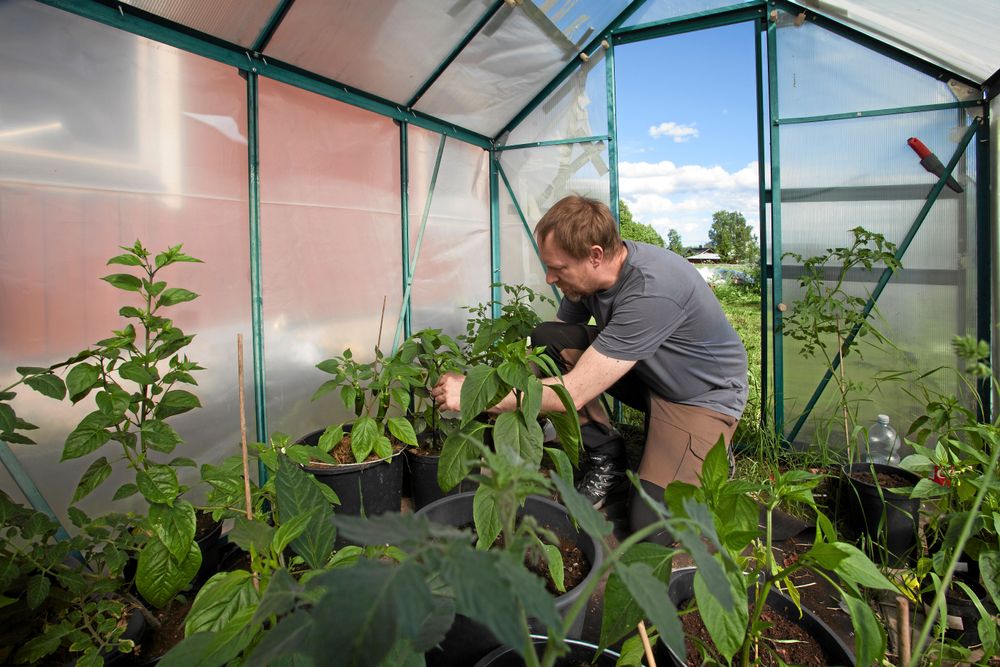 En del preppers är hemliga med sina förberedelser för en eventuell kris men Peter Bivesand vill dela med sig och hoppas att fler våga göra som honom.