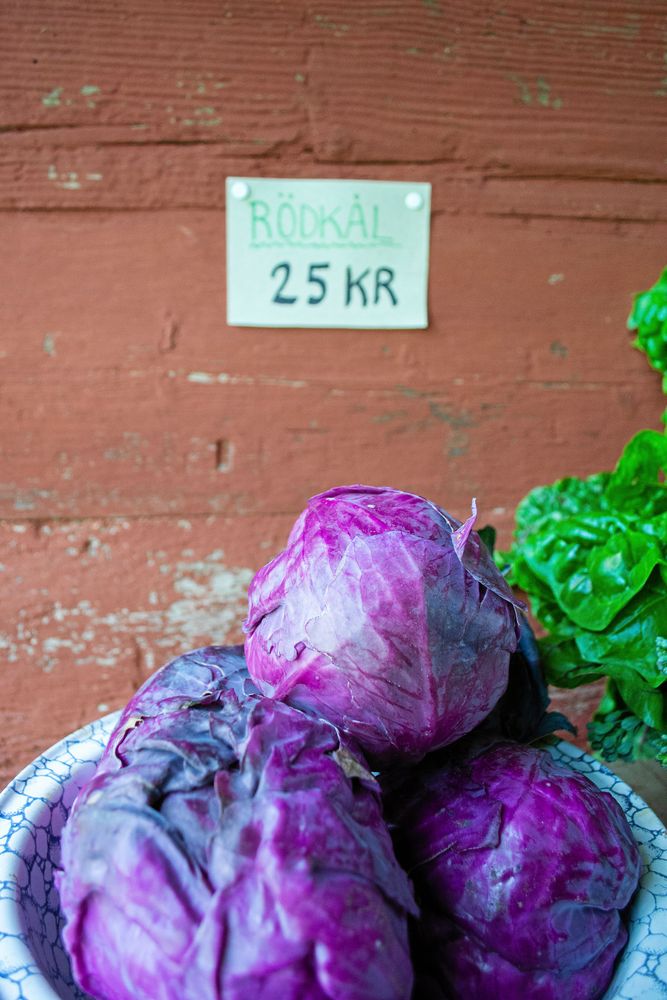 Att sälja obehandlade råvaror direkt från odlingen kräver inga tillstånd.