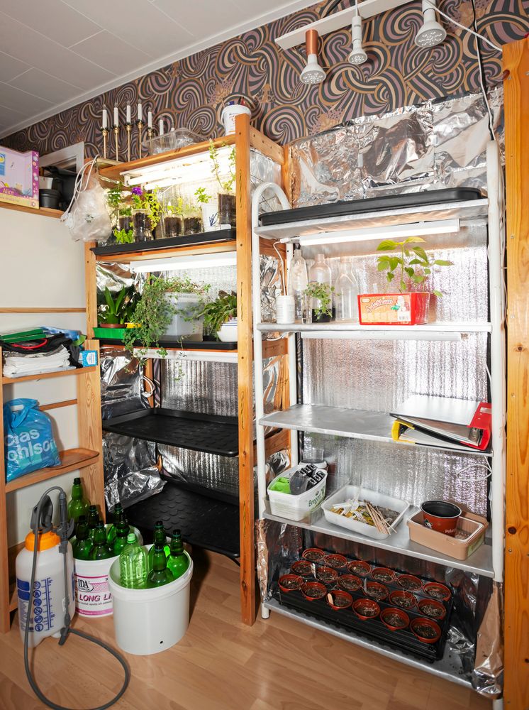 Odlingshyllorna ger svalka och massor av ljus hela vintern.