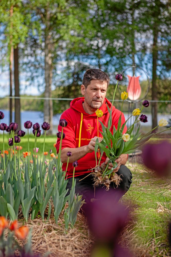 Hans skulle egentligen bara hjälpa till att sälja gården åt sin far, men blev i stället kvar här själv.