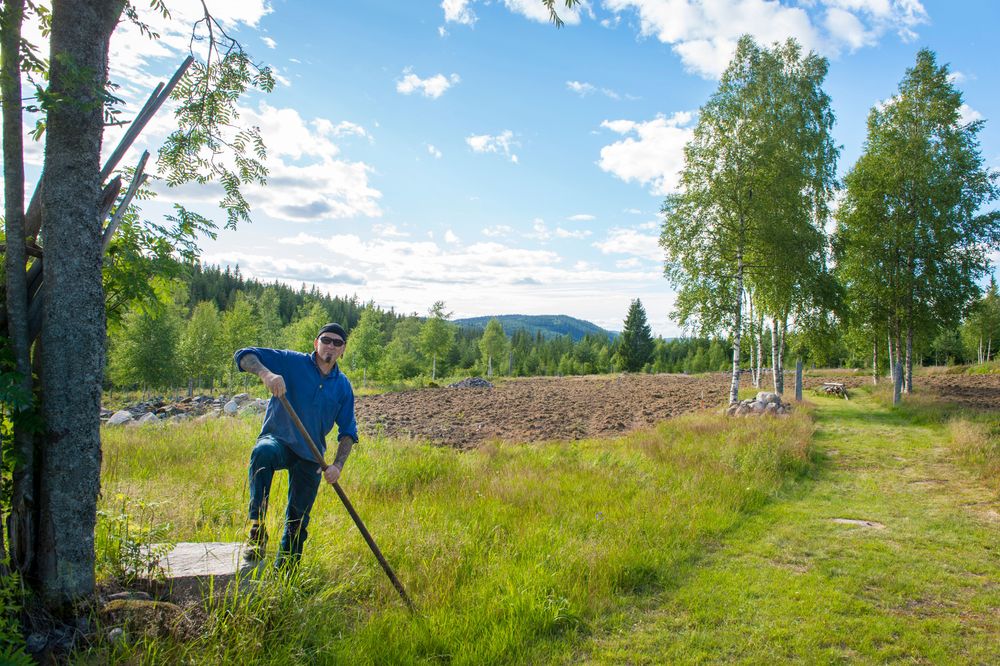 Trons Lasse Lasse Mattsson gläds i den vackra miljön. Till höger i bild gick en gammal ”fägattu”, en kostig där man under fäbodbruket släppte kreaturen på skogen. Gärdsgårdarna som fanns stängde ute kreaturen från hus och odlad mark, eftersom fodret skulle sparas till vintern.